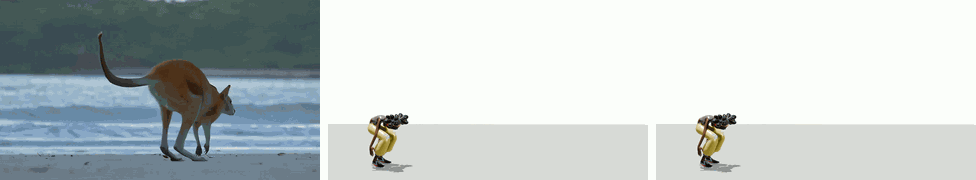 Editing the height of human when perform kangaroo-like jumping