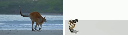 Kangaroo-like jumping